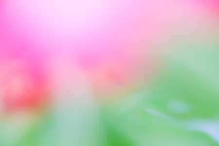abstract  backgroundの写真素材