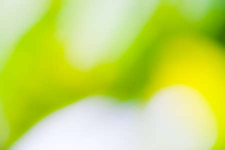 abstract  backgroundの写真素材