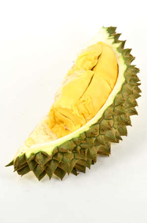 Durain, The famous fruit of Thailand in white background.の写真素材