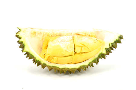 Durain, The famous fruit of Thailand in white background.の写真素材