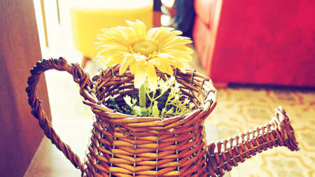 yellow flower on vintage color toneの写真素材