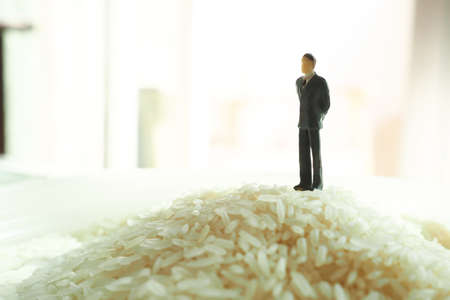 business man stand on the riceの写真素材