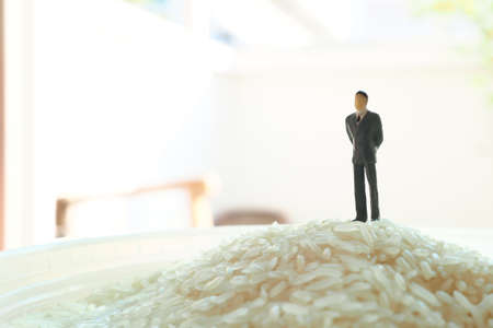 business man stand on the riceの写真素材