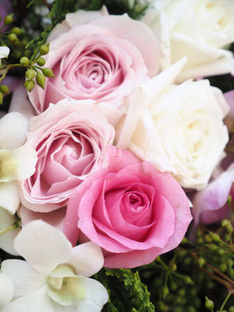 pink rose in wedding dayの写真素材