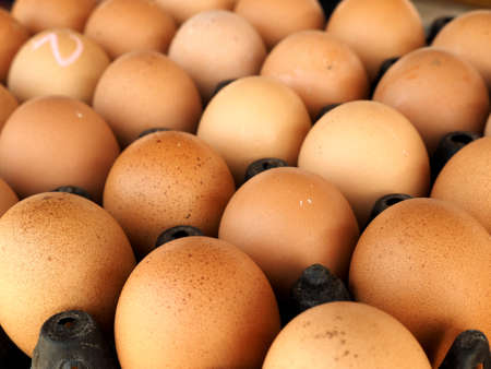 egg in the package selling on the marketの写真素材