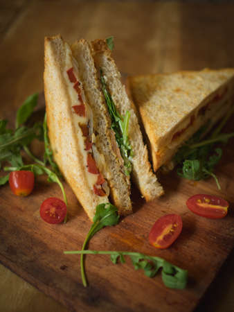 Homemade Sandwich with salmon, Tomato, and Onionの写真素材