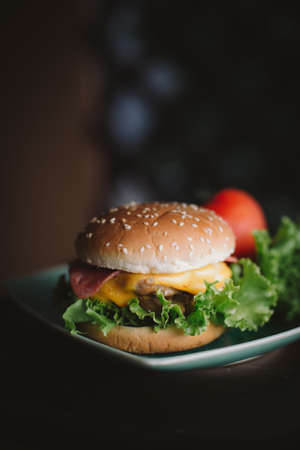 Homemade Beef burgerの写真素材