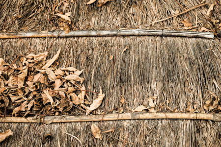 dry leaf background with warm toneの写真素材