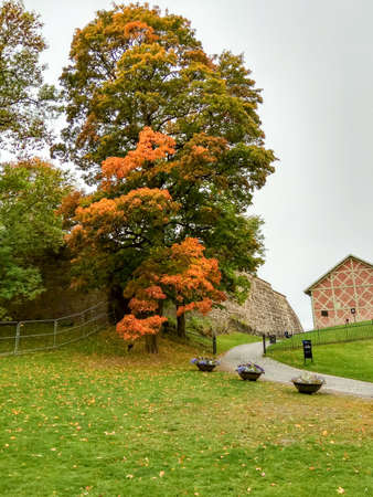 Walking path in the autumn city park. Oslo, Norway.の写真素材