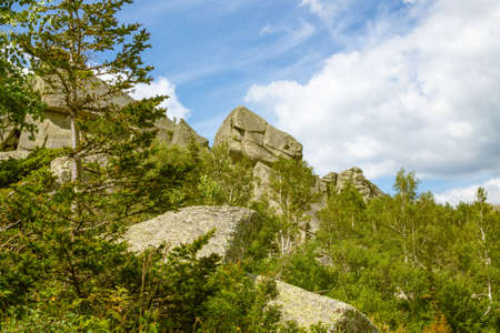 Unusual rocks in the mountains. Trees growing from stone. Altai region, Russia.の写真素材