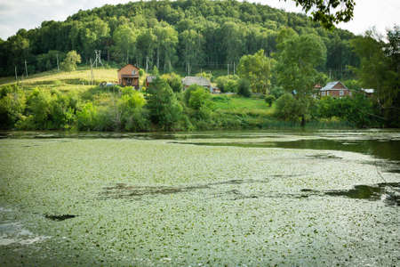 Landscape with swamped lake in the village, Russia.の写真素材