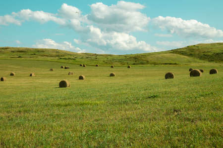 View of a field with sheaves on a background of mountains. Rural landscape.の写真素材