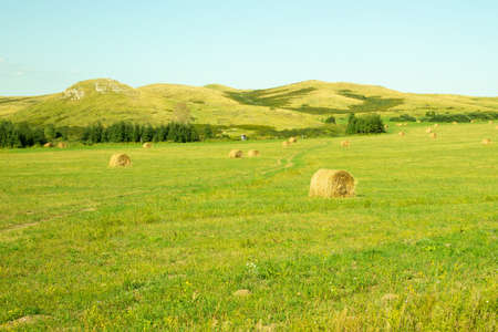 View of a field with sheaves on a background of mountains. Rural landscape. Altai region.の写真素材