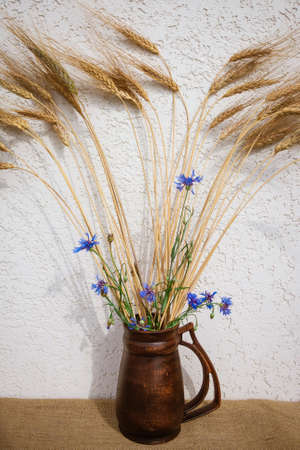 Bouquet of cornflowers and rye in a jugの写真素材