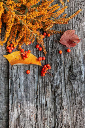 Autumn pattern of yellow flower, ashberry and fallen leaves on old wooden background