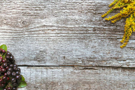 Yellow flower and chokeberry on old wooden backgroundの写真素材