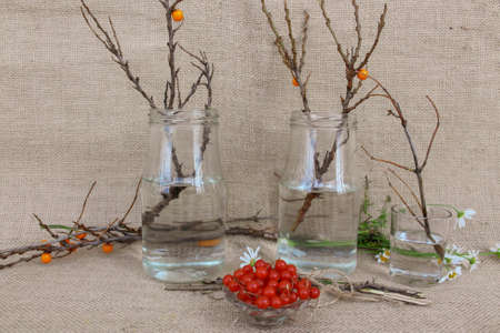 Red berry and branches without leaves in glass jars on sackcloth background.の写真素材