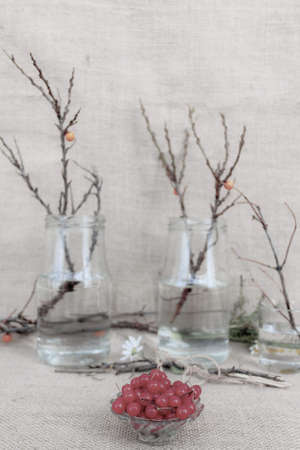 Red berry and branches without leaves in glass jars on sackcloth background.の写真素材