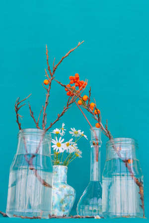 Red berry, chamomile and branches without leaves in glass jars on sackcloth background.の写真素材