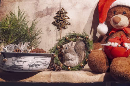 Christmas composition with bear squirrel cones and pine branches.の写真素材