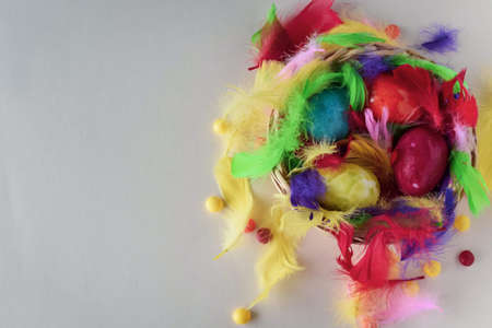 Multi-colored Easter eggs and feathers in a nest on a light backgroundの写真素材