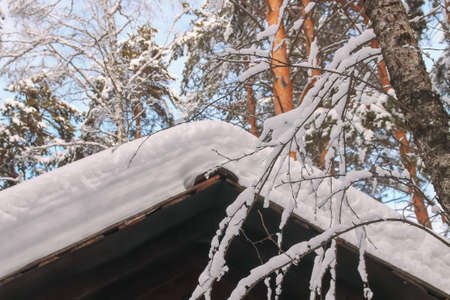 Snow covered house roof in winter forest.
