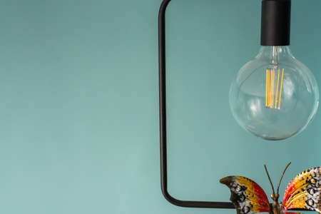 Light bulb with a metal butterfly. Loft style.の写真素材