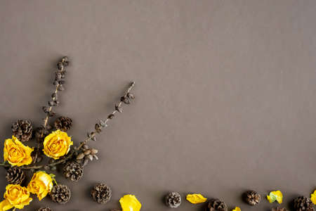 Autumn still life with natural ingredients like pine cones and dry flowers on brown background with...