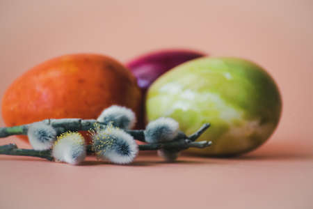 Multi colored Easter eggs and pussy willowの写真素材