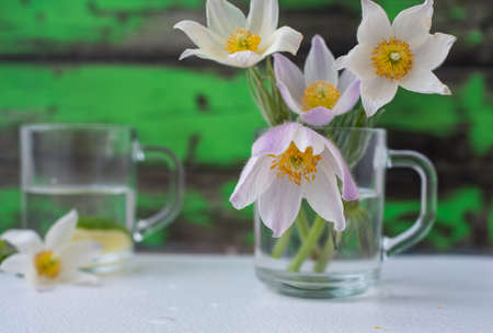 Delicate white spring flowers in a glass bowl.の写真素材