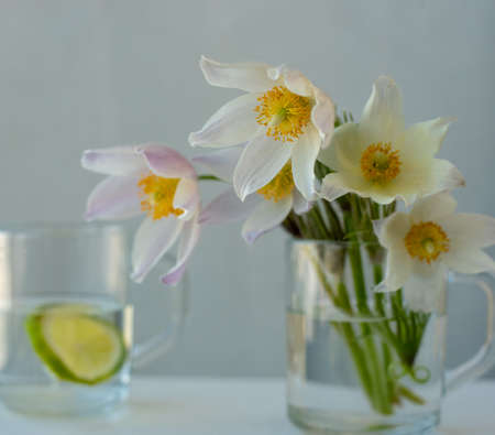 Delicate white spring flowers in a glass bowl.