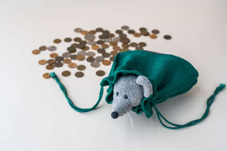 A mouse in a canvas money bag. Concept of saving money in a crisis.の写真素材
