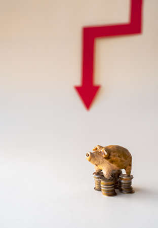 Concept of saving money in a crisis - ceramic pigの写真素材