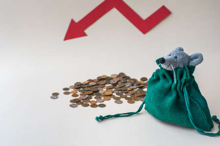 A mouse in a canvas money bag. Concept of saving money in a crisis.の写真素材