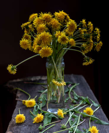 Bouquet of dandelion flowers, yellow wildflowers on wooden table rustic.の写真素材