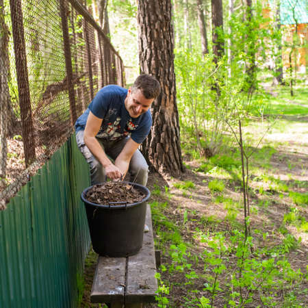 A man throws old leaves in the garden