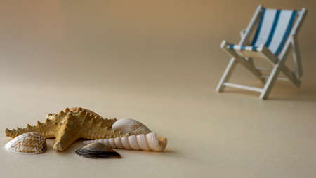 An empty chaise longue and a seashell . Summer concept, tourism, pandemic, coronavirusの写真素材
