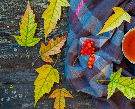 Autumn still life with cup of tea, warming scarf and colorful leaves over rustic wooden backgroundの写真素材