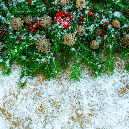 Christmas fir branches with cones and berries