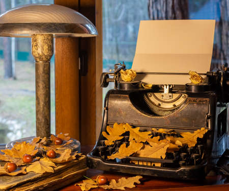 Vintage shabby typewriter, blank paper and fallen oak leaves in autumnの写真素材