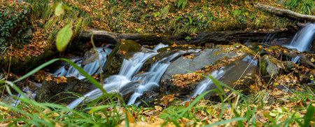 Mountain stream flows through the autumn forestの写真素材