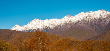 The mountains in Krasnaya Polyana. Sochi - capital of Winter Olympic Games 2014. Russia.の写真素材