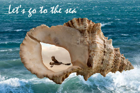 Postcard with a sea shell and the inscription - lets go to the sea
