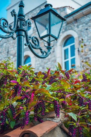 View of a multi-storey building through a frozen window glass, taken in cold weather from the inside of the building.の写真素材