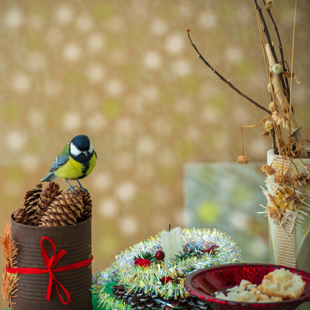 A titmouse bird eats on a table with Christmas decorationsの写真素材