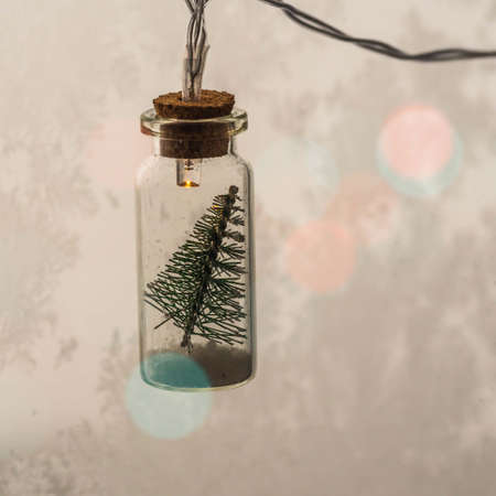 Christmas garland - a Christmas tree in a glass jar against the background of a frozen windowの写真素材