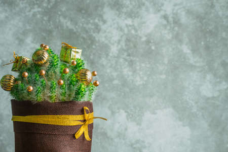 Potted cactus decorated with christmas toys on old wooden surfaceの写真素材