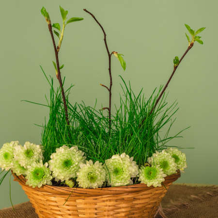 Spring basket with grass, twigs and flowers.の写真素材