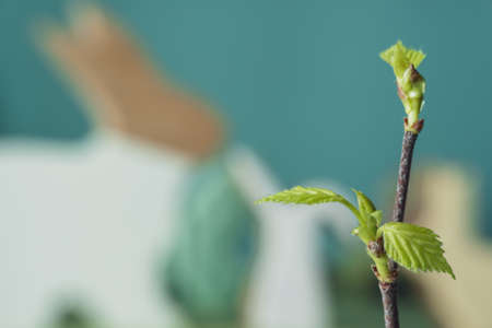 First spring leaves. Rabbits in the backgroundの写真素材