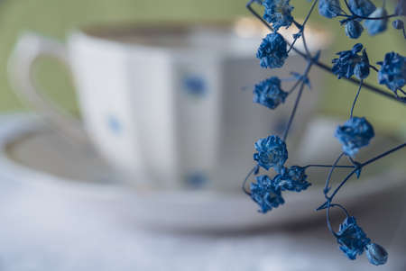 Blue gypsophila on the background of a cupの写真素材